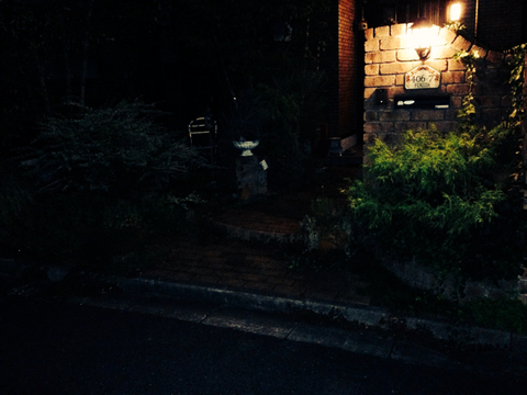 BEEB45A9-5020-4EDB-B7B8-113F37ADE50B.jpg