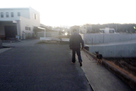 いつもより早い散歩.gif
