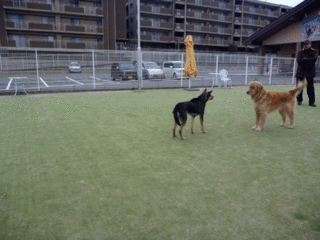 げげえ.gif