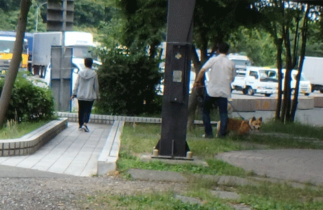 こーぎーくん.gif