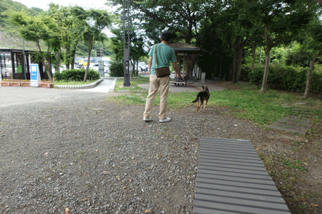 ふきんをていさつ.gif