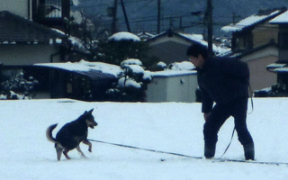 むむっつ.gif