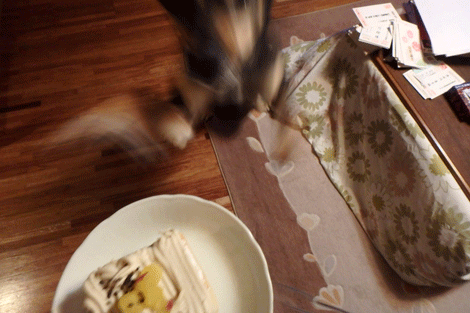 わーい!.gif
