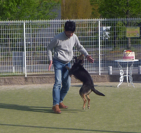 ボス!.gif