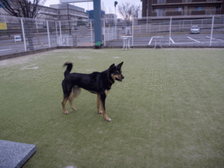 久しぶり〜.gif