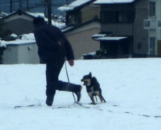 何をするんですか!.gif