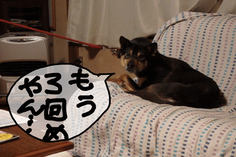 寝てるのに.gif