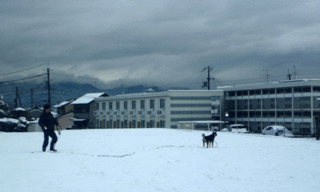 雪遊び?.gif