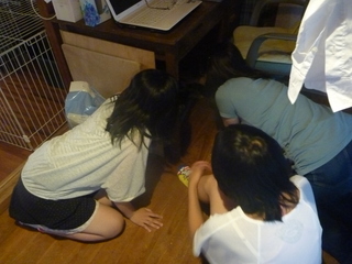 P1120140.JPG