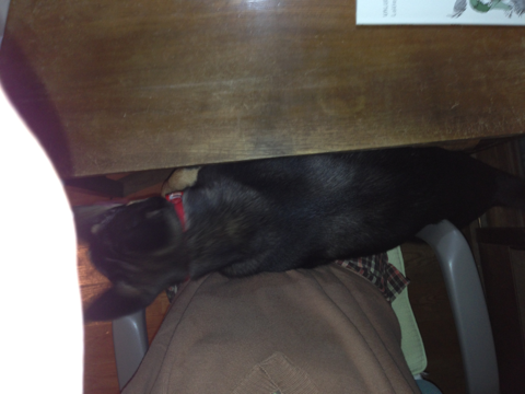 image-20121031144841.png