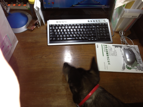 image-20121031144901.png