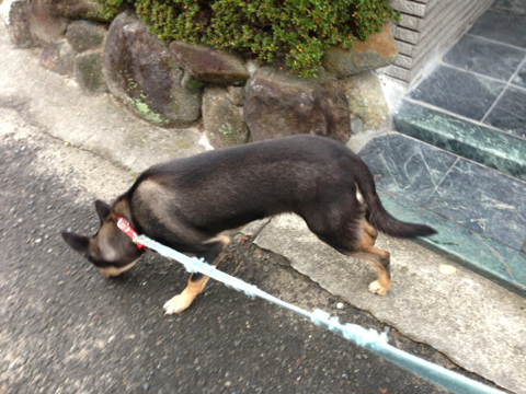 image-20121205094355.png