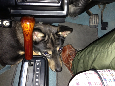 image-20121213212440.png