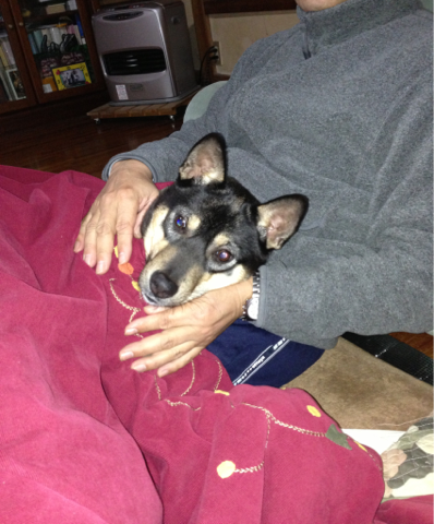 image-20121220090614.png