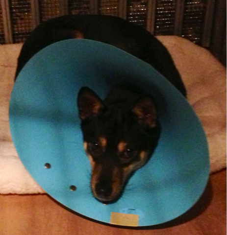 image-20121223093044.png