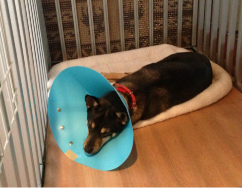 image-20121223093055.png