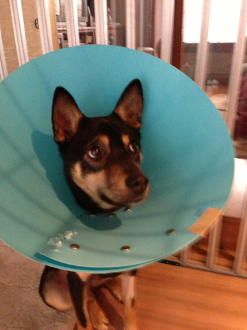 image-20121225132713.png
