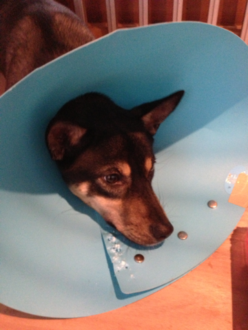 image-20121225132846.png