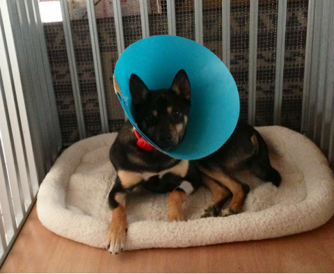 image-20121226122442.png
