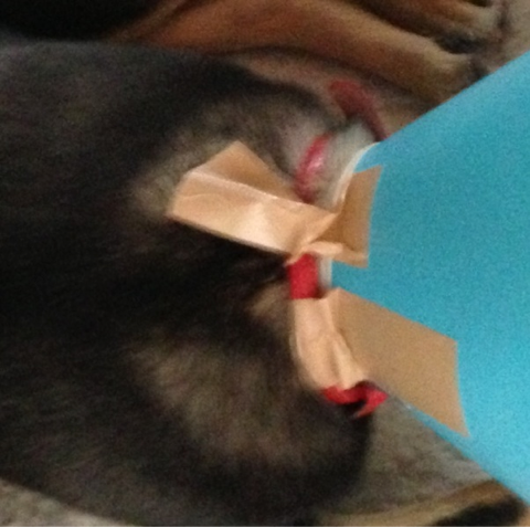 image-20121226122450.png