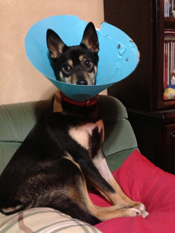 image-20121228213534.png