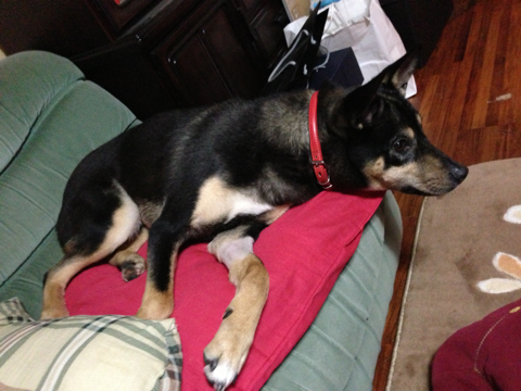 image-20121230133442.png