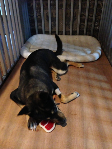image-20121230203034.png