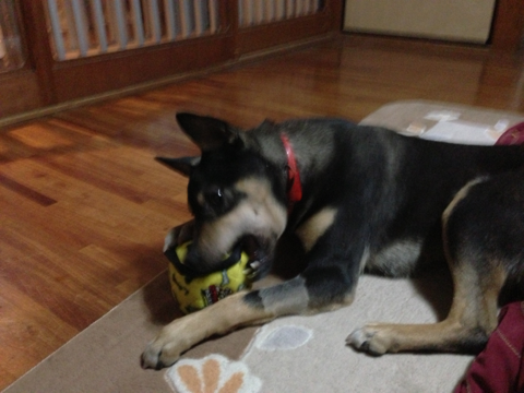 image-20130128215816.png