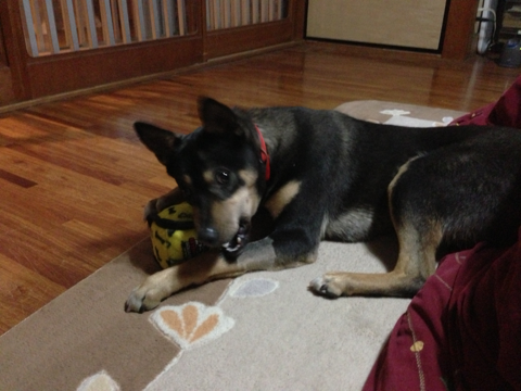 image-20130128215907.png