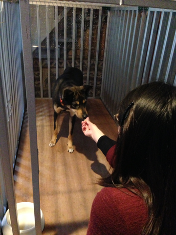 image-20130430172120.png