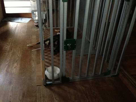image-20130709065130.png