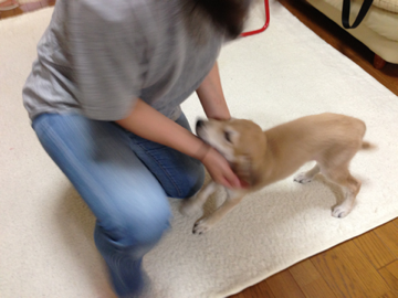 image-20130903095251.png