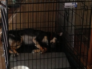 image-20130903095322.png