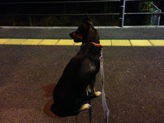 image-20130917214213.png
