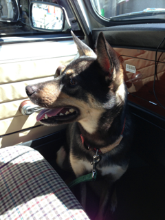 image-20130927122832.png