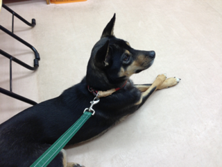 image-20131130214702.png