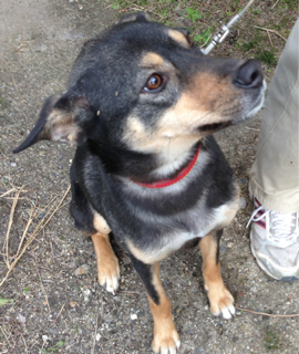image-20131214184318.png