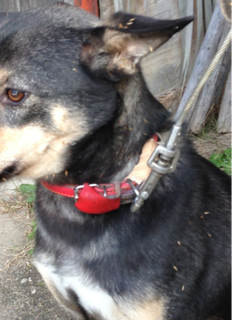 image-20131214184327.png