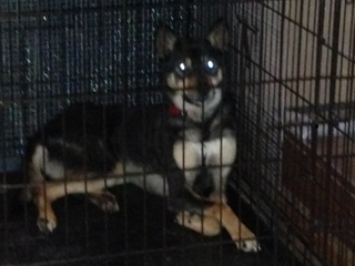 image-20131219105613.png