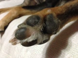image-20131223214758.png