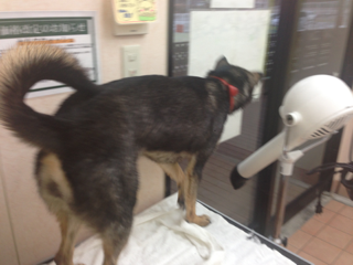 image-20140123110151.png
