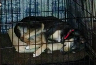 image-20140321102930.png